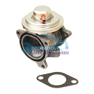 EGR Valve