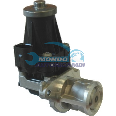 EGR VALVE