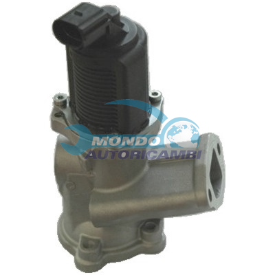 EGR Valve