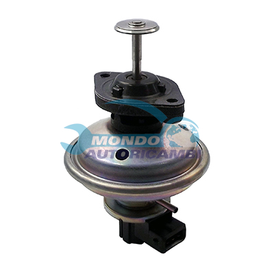 EGR Valve