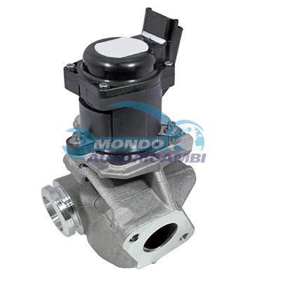 EGR VALVE
