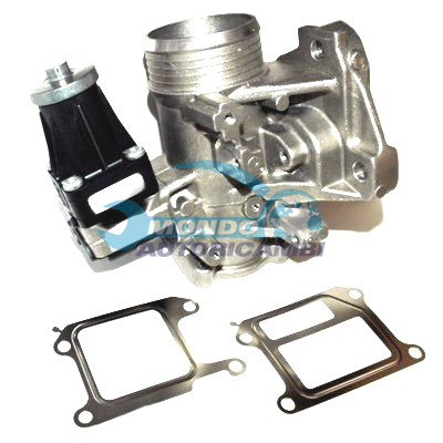 EGR Valve