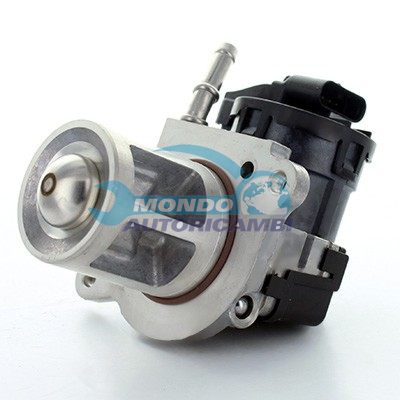 EGR Valve
