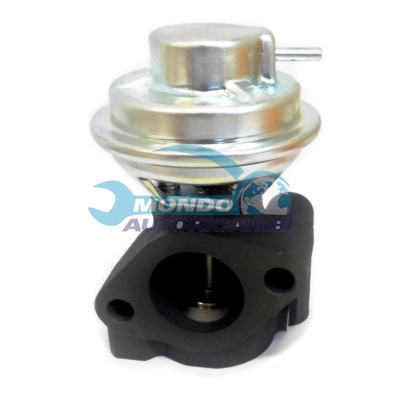 EGR Valve