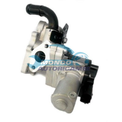 EGR Valve