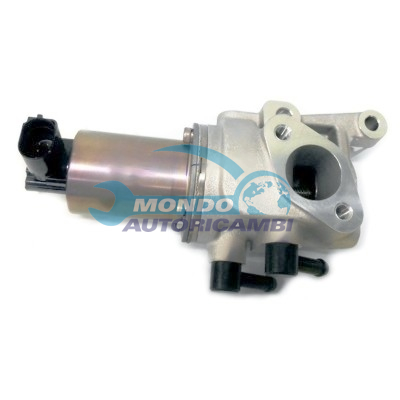 EGR Valve