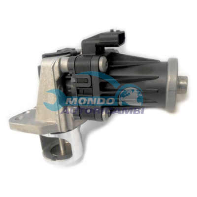 EGR Valve