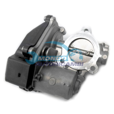 EGR Valve