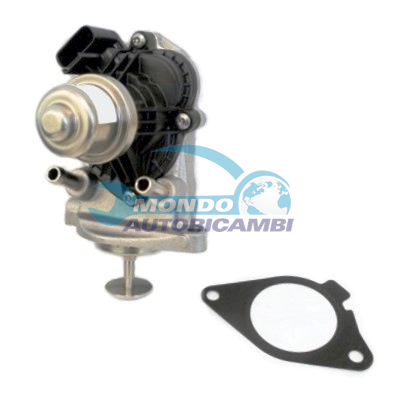 EGR Valve