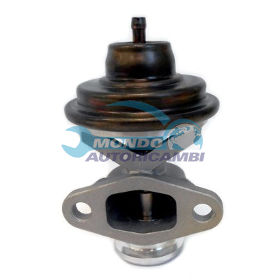 EGR Valve
