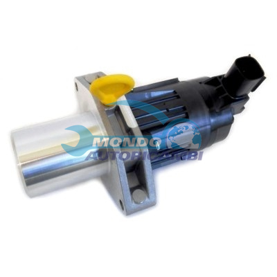 EGR Valve