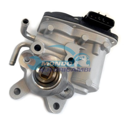 EGR Valve