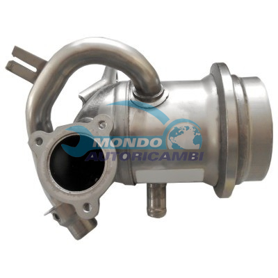 Cooler exhaust gas