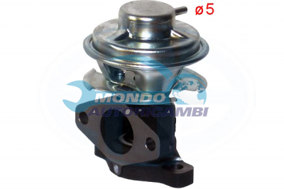 EGR Valve
