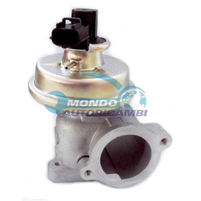 EGR Valve