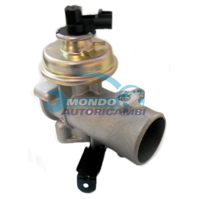EGR Valve