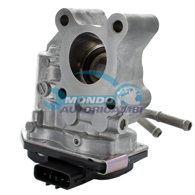 EGR Valve