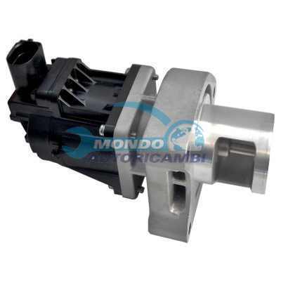 EGR Valve