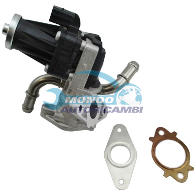 EGR Valve
