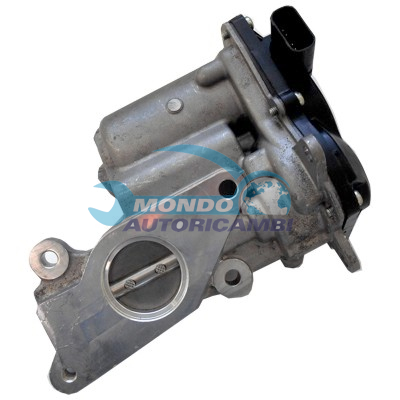 EGR Valve