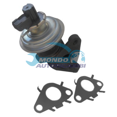 EGR Valve