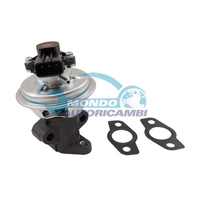 EGR Valve