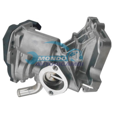 EGR Valve