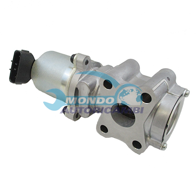 EGR Valve