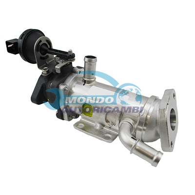 Conjunto EGR