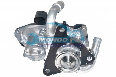 EGR Valve