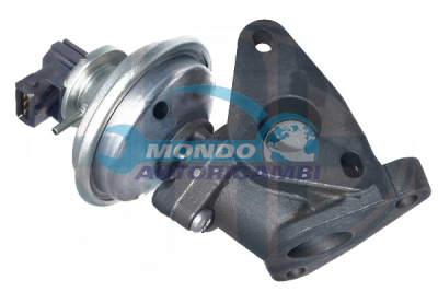 EGR Valve