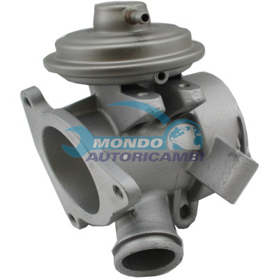 EGR Valve
