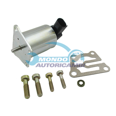 EGR Valve