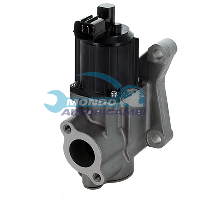 EGR Valve