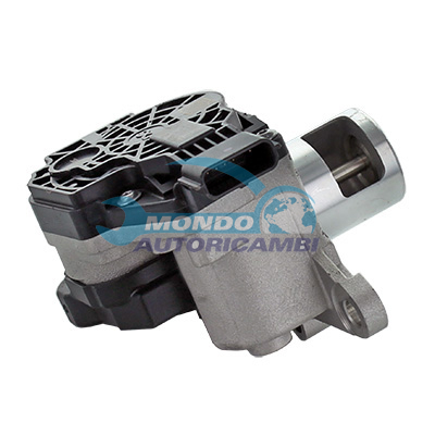 EGR Valve