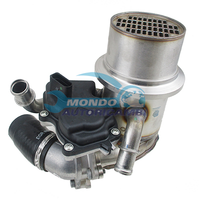 Conjunto EGR
