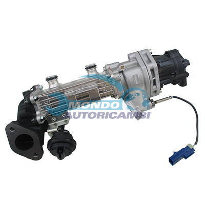 EGR assembly