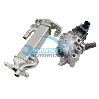 Conjunto EGR