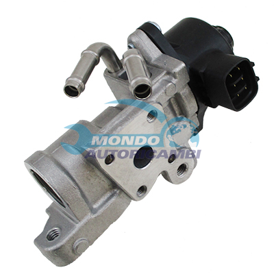 EGR Valve