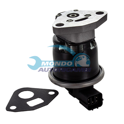 EGR Valve