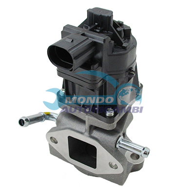 EGR Valve