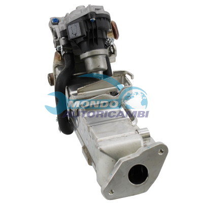 EGR assembly