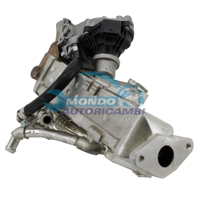 EGR assembly