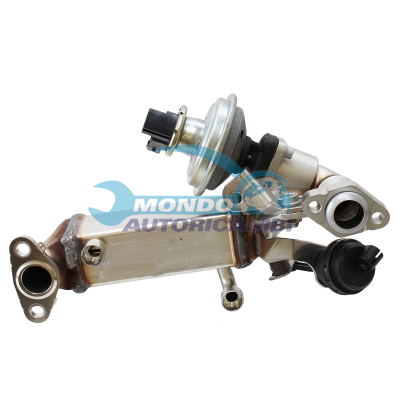 EGR assembly