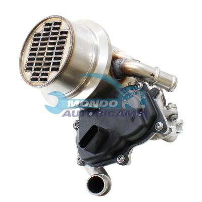 Conjunto EGR