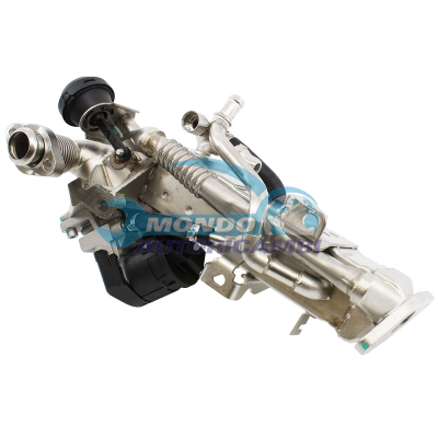 EGR assembly