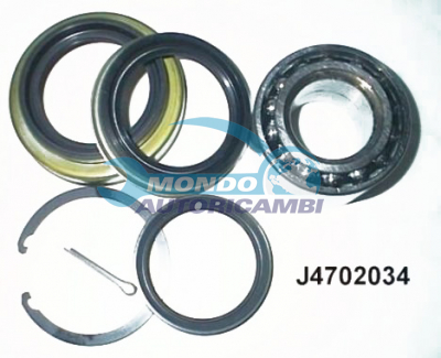 Wheel Bearing Kit