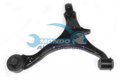 Track Control Arm
